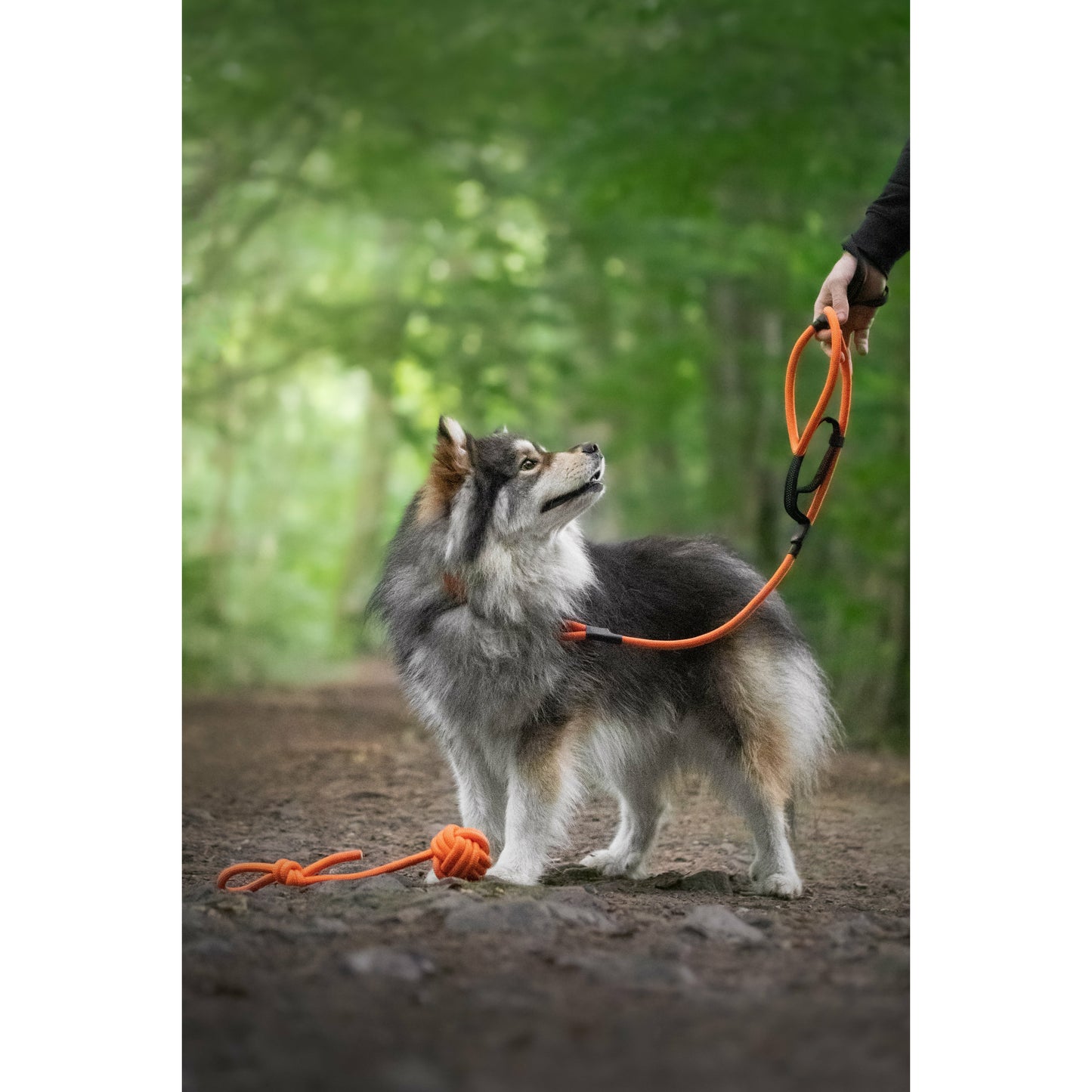 Dog Rope Ball Toy - Orange