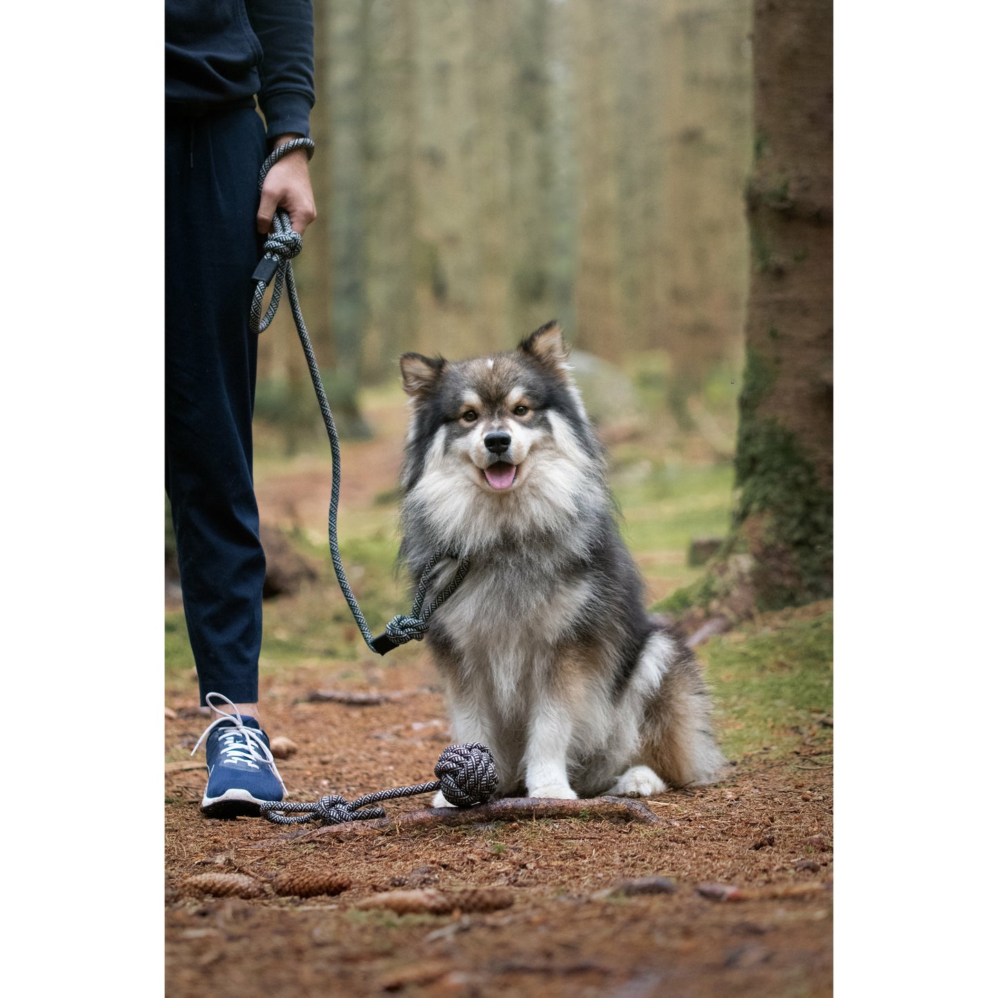 Single Carabiner Dog Rope Leash - Black & White