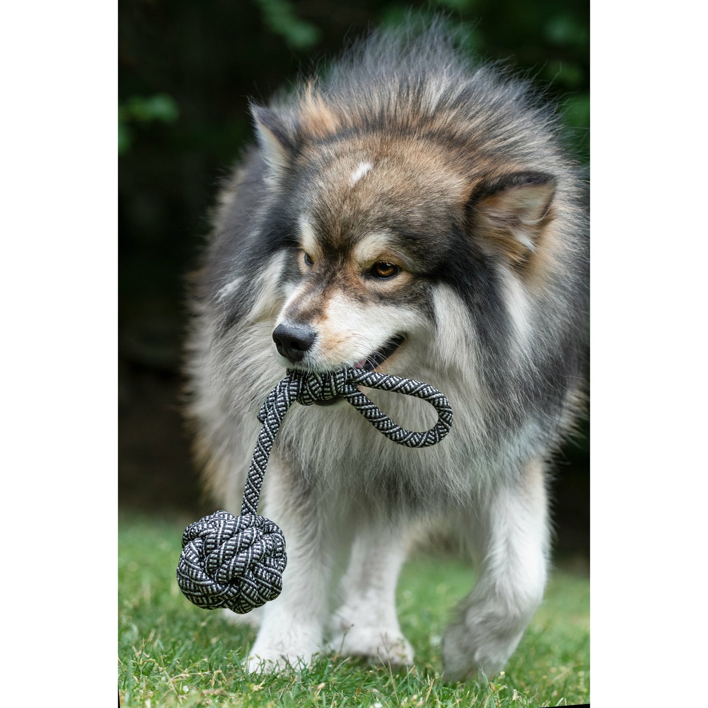 Dog Rope Ball Toy - Black & White