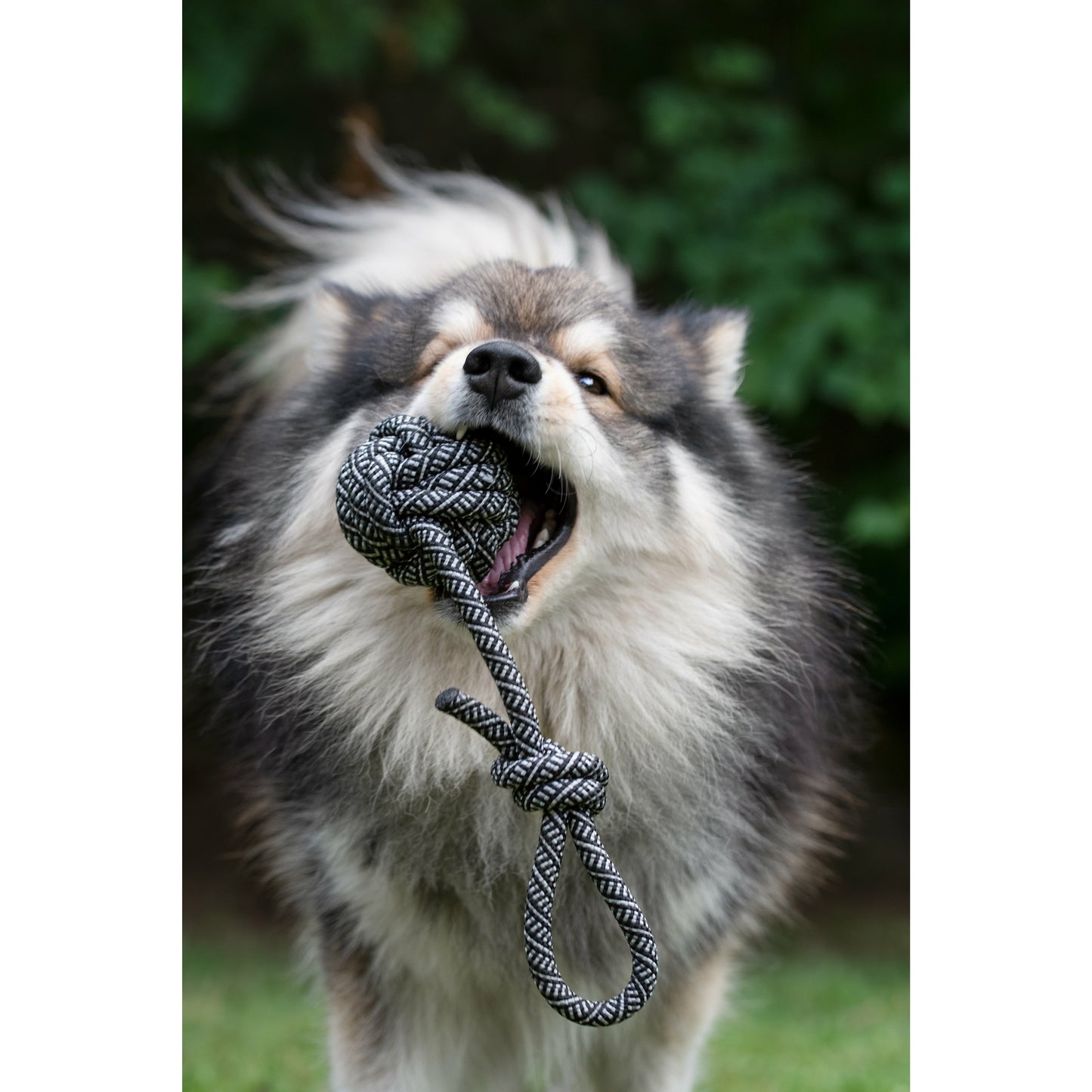 Dog Rope Ball Toy - Black & White