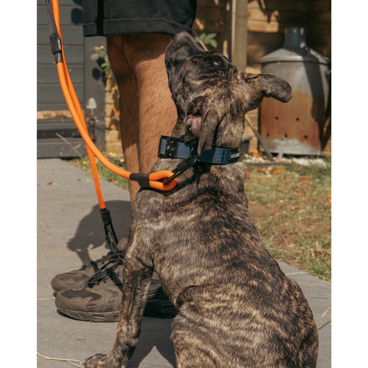 Double Handle Carabiner Dog Rope Leash - Orange