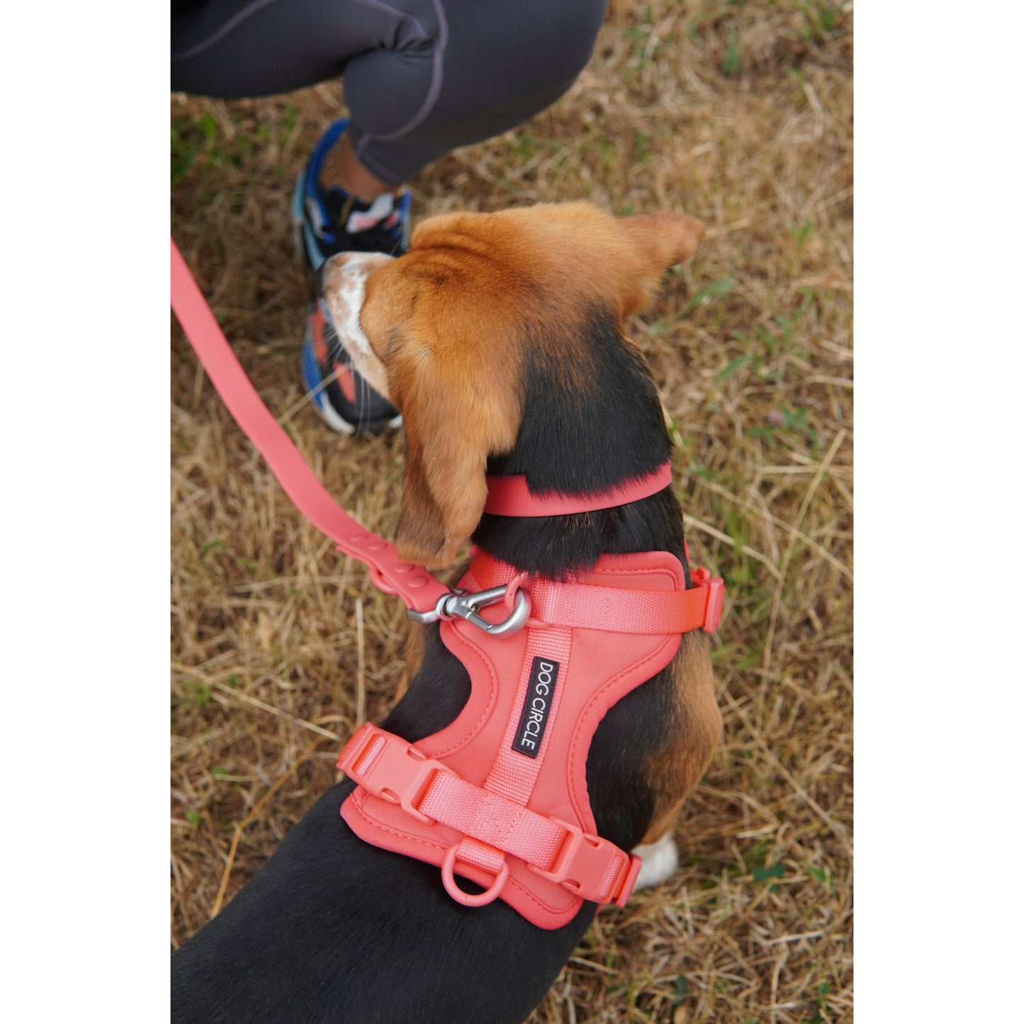 Dog Air Harness Set - Warm Red/ Pink