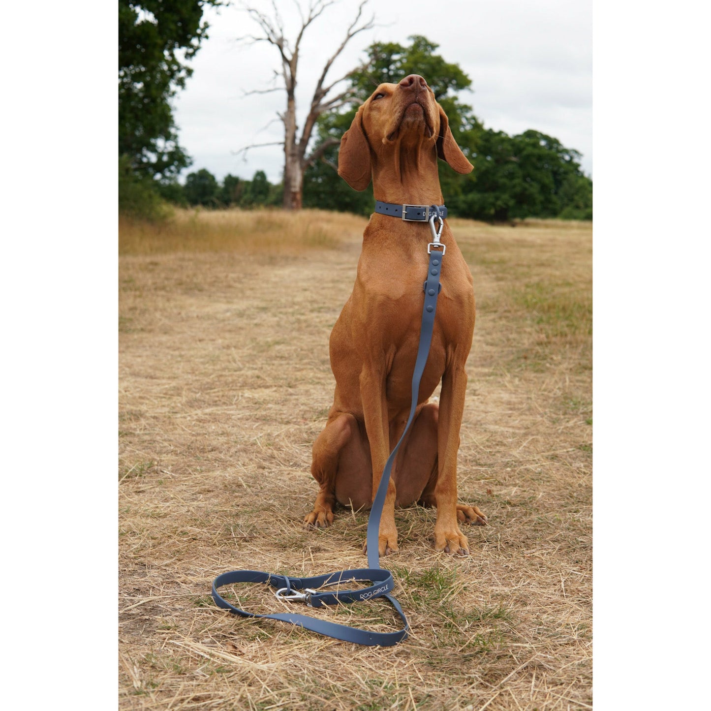 Dog Air Harness Set - Navy