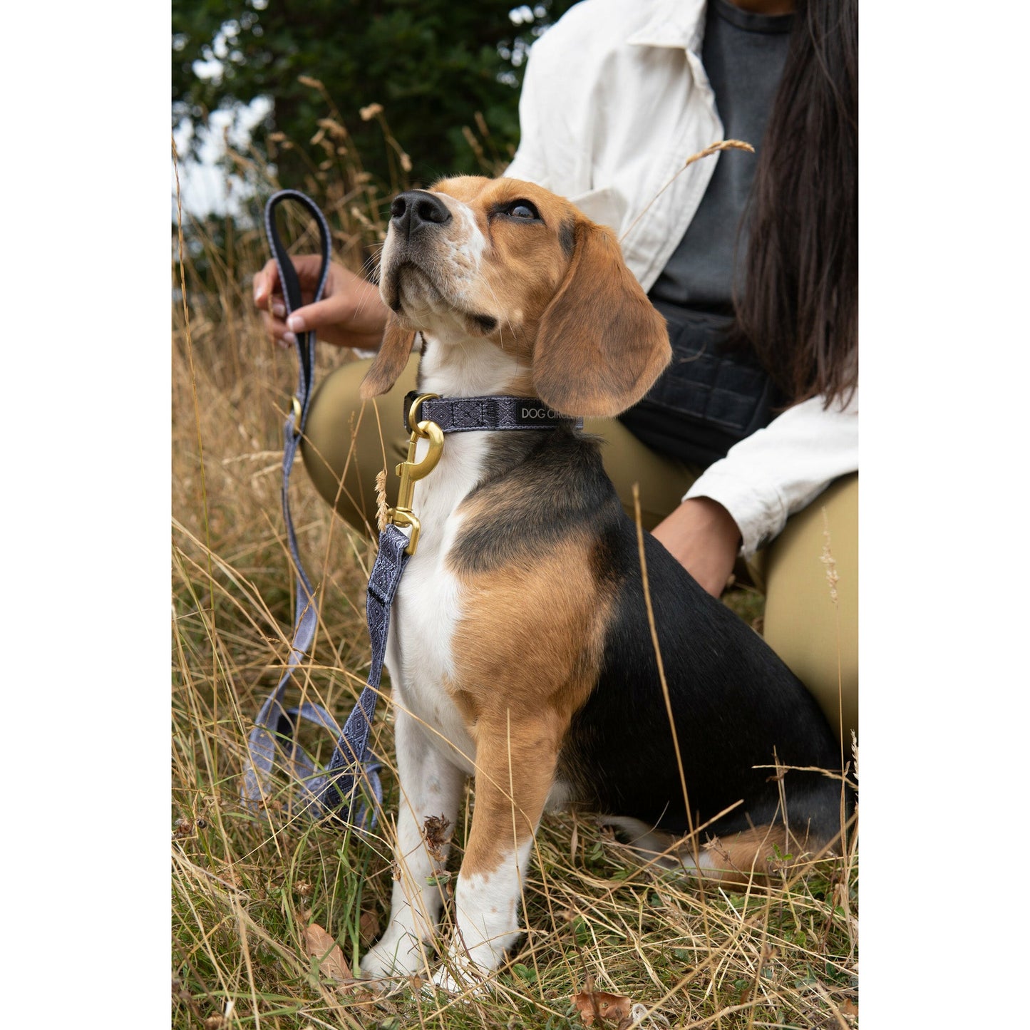 Dog Collar & Harness Set - Aztec