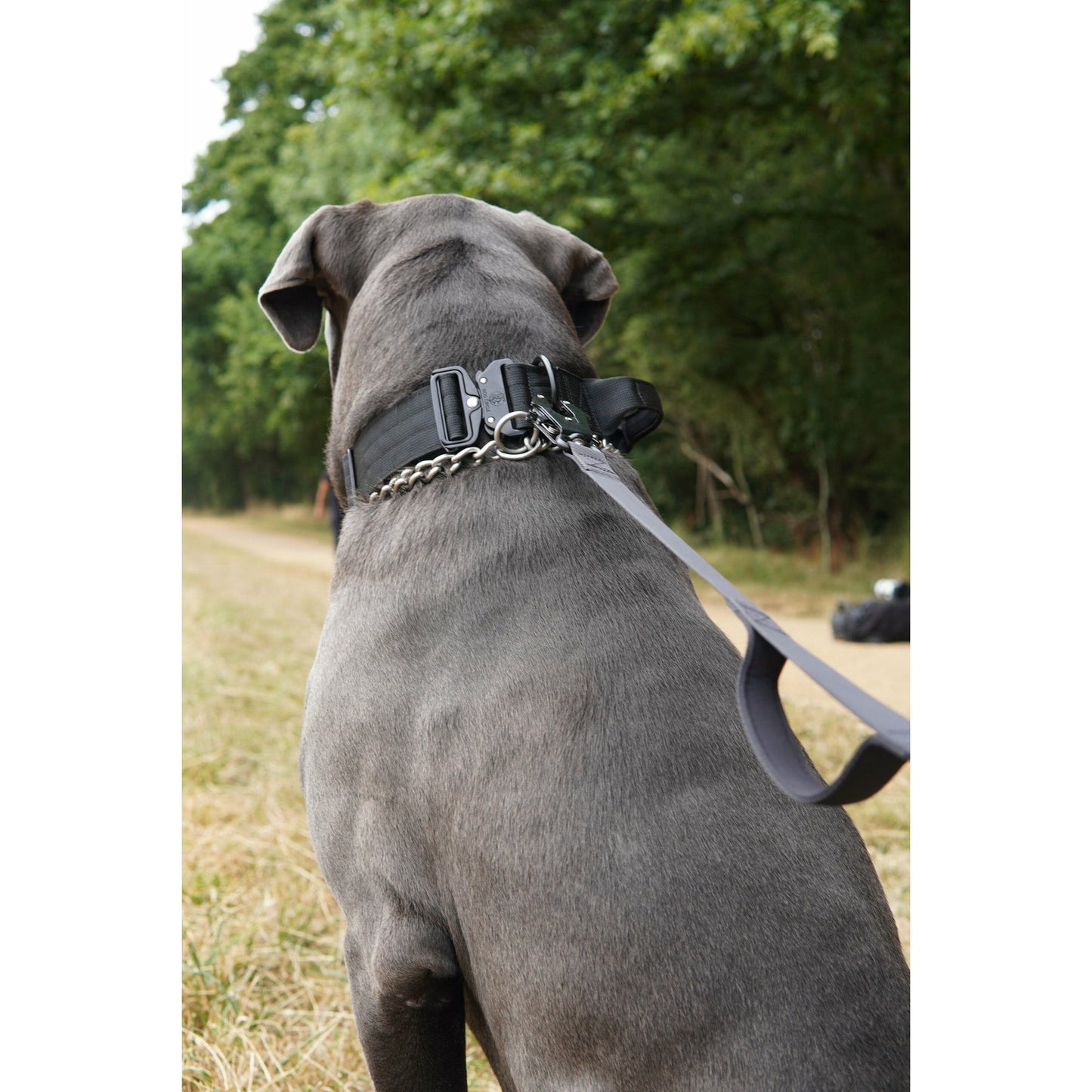 Everyday Dog Collar Black Handle - 5 cm/ 2"