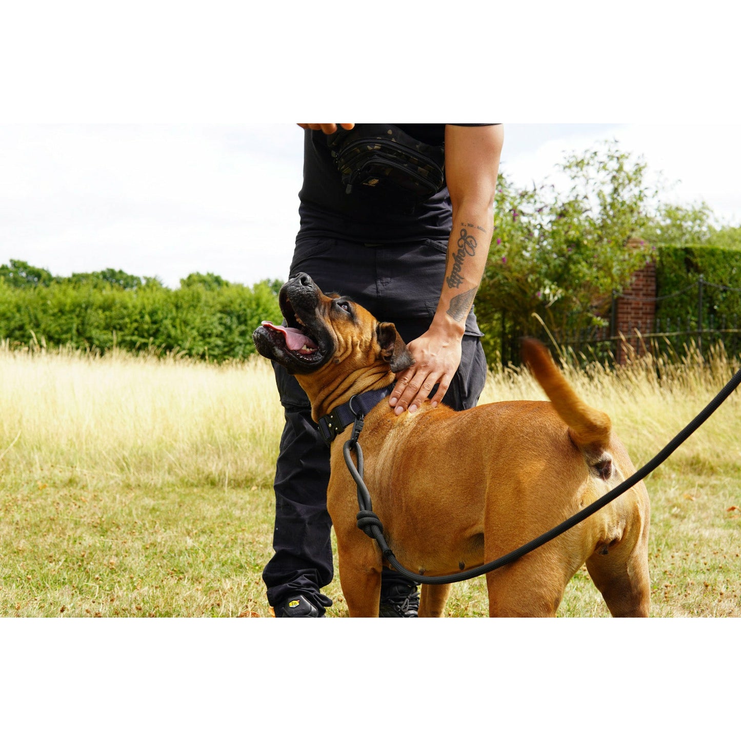 Single Carabiner Dog Rope Leash - Black