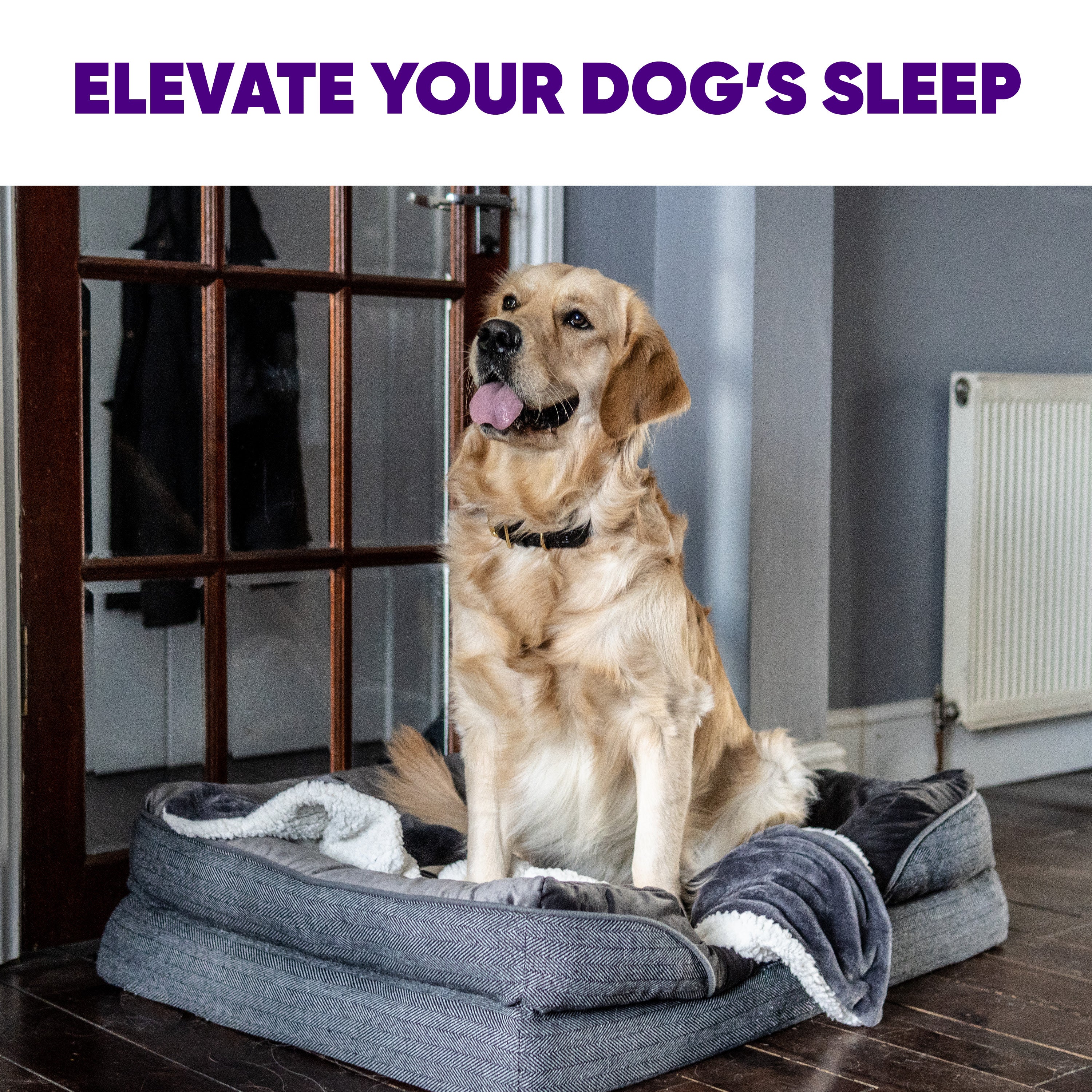 Dog radiator outlet bed