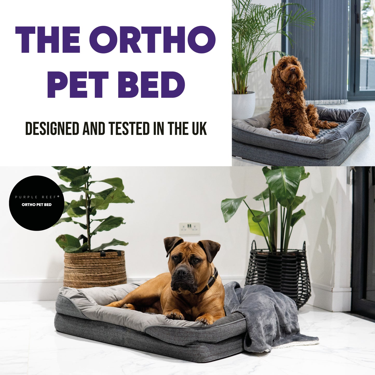 Luxury Orthopedic Dog Bed