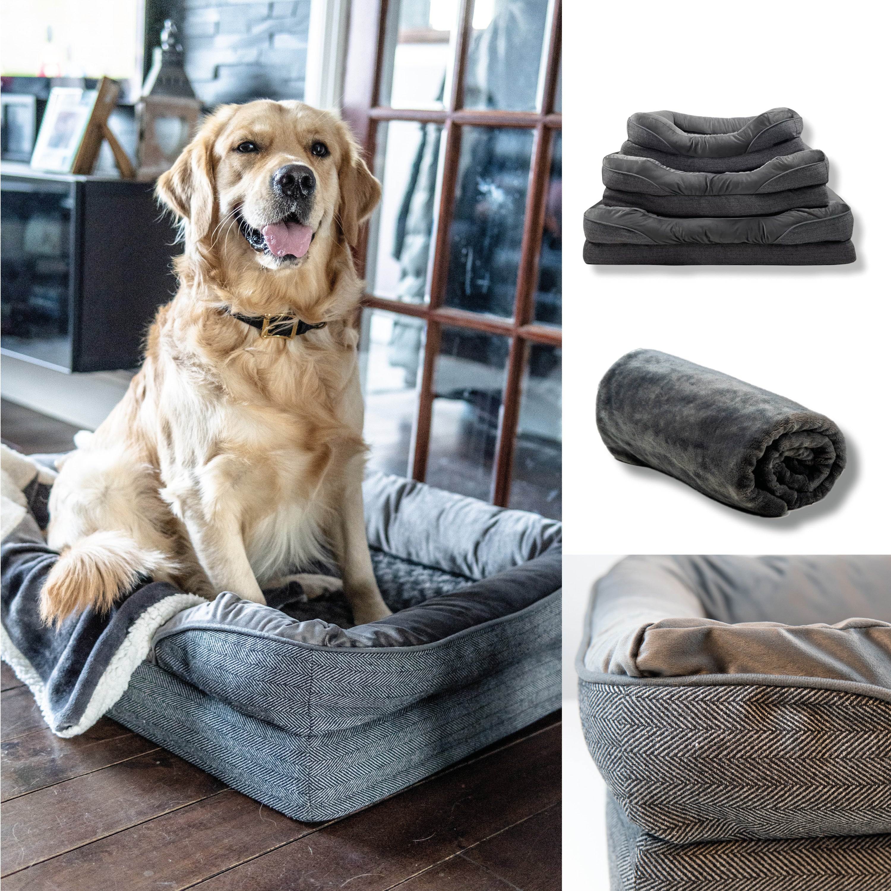 Luxury orthopedic best sale dog beds