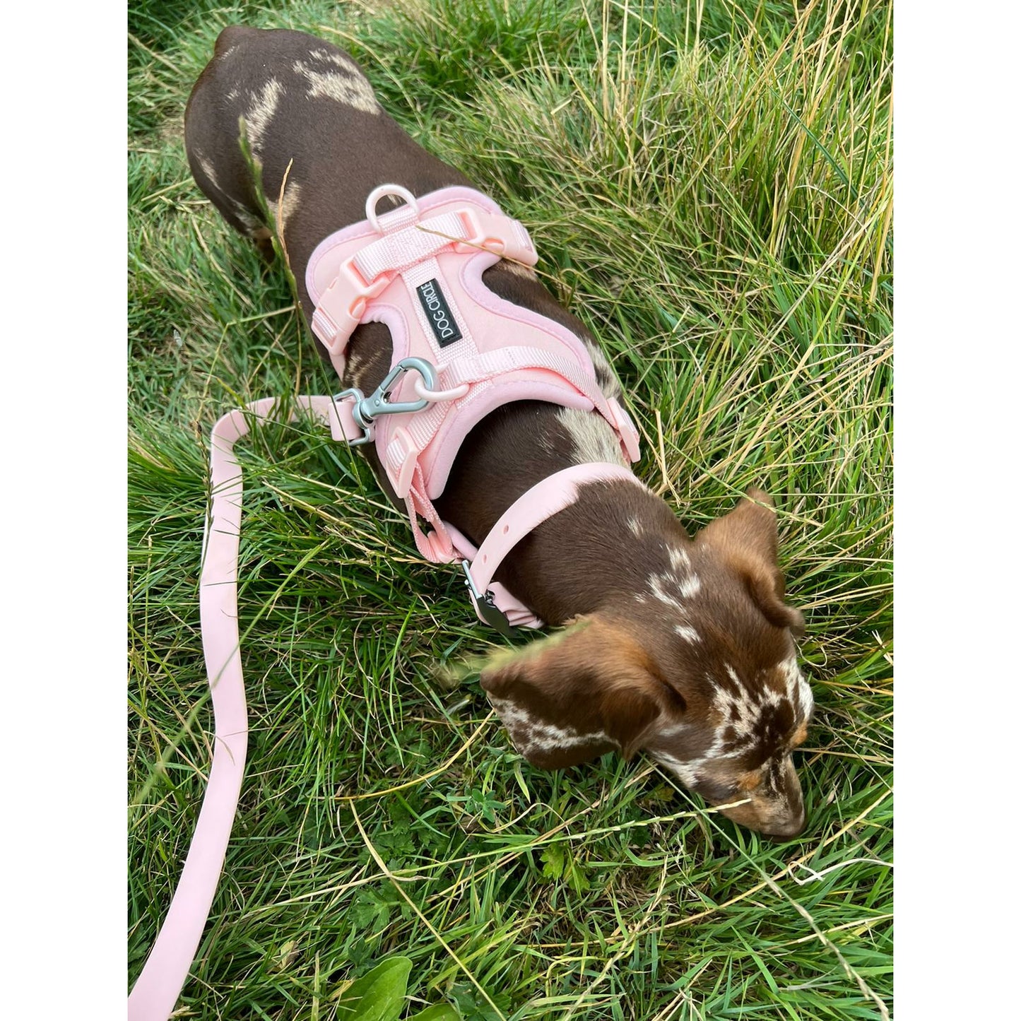 Dog Air Harness - Baby Pink