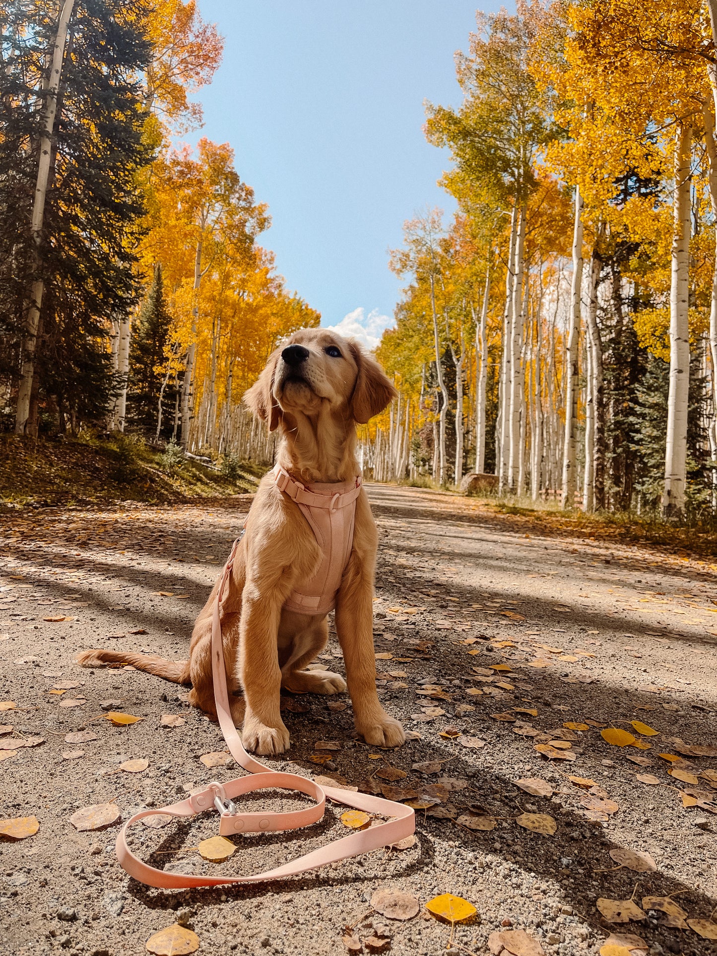 Dog Air Harness - Baby Pink