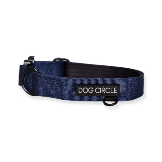 Everyday Dog Collar - Air Force Blue 2.5cm/ 1"