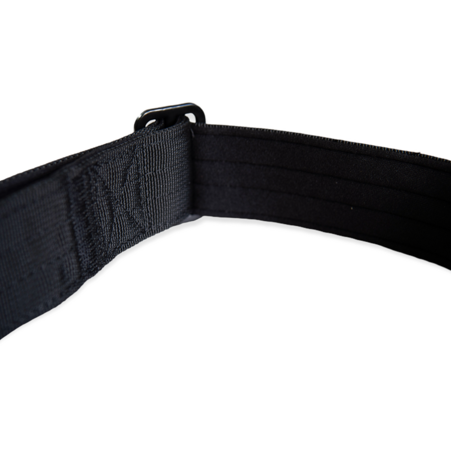 Everyday Dog Collar - Black  3.8cm/ 1.5"