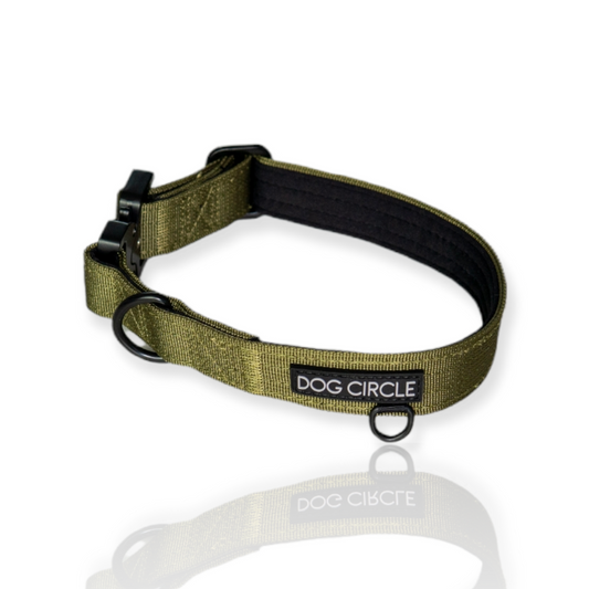 Everyday Dog Collar - Khaki 2.5cm/ 1"