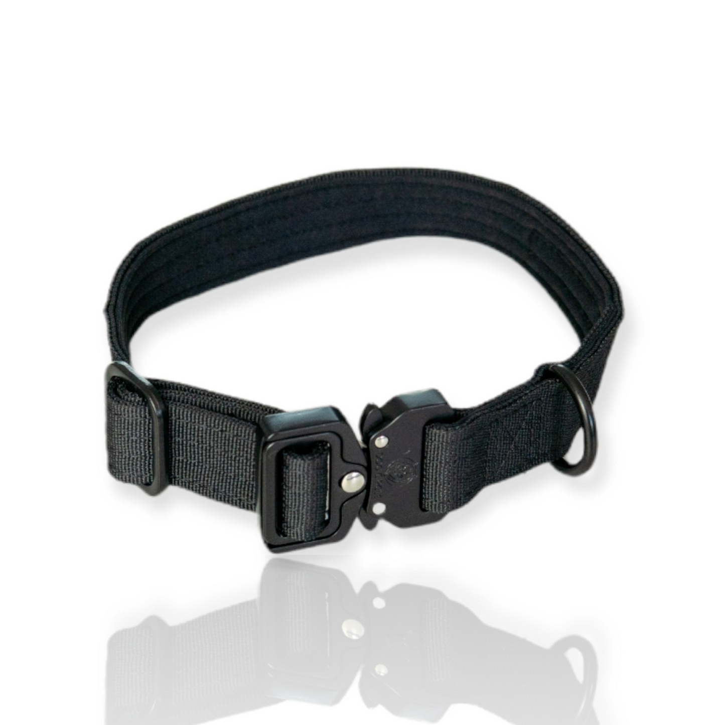 Everyday Dog Collar - Black 2.5cm/ 1"