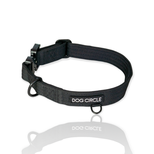 Everyday Dog Collar - Black 2.5cm/ 1"