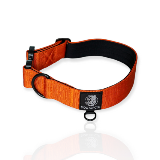 Everyday Dog Collar - Flame 3.8cm/ 1.5"