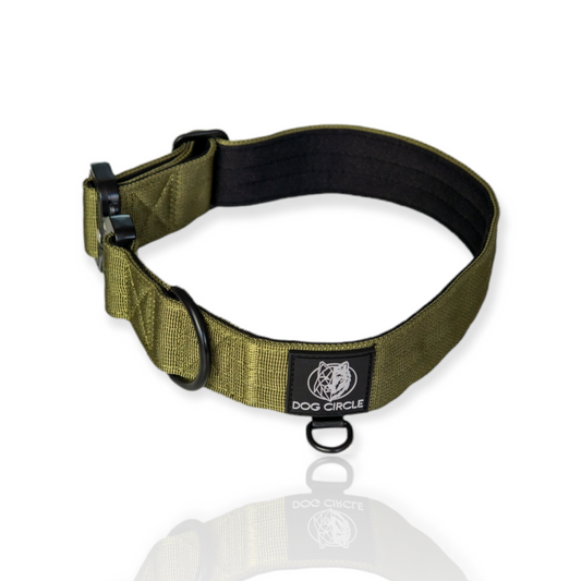 Everyday Dog Collar - Khaki 3.8cm/ 1.5"