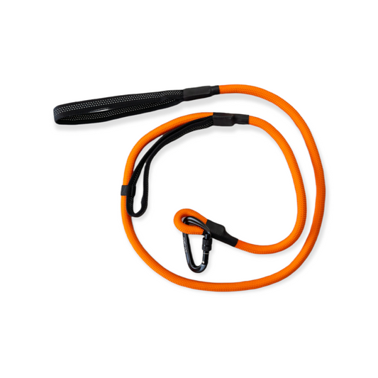 Double Handle Carabiner Dog Rope Leash - Orange