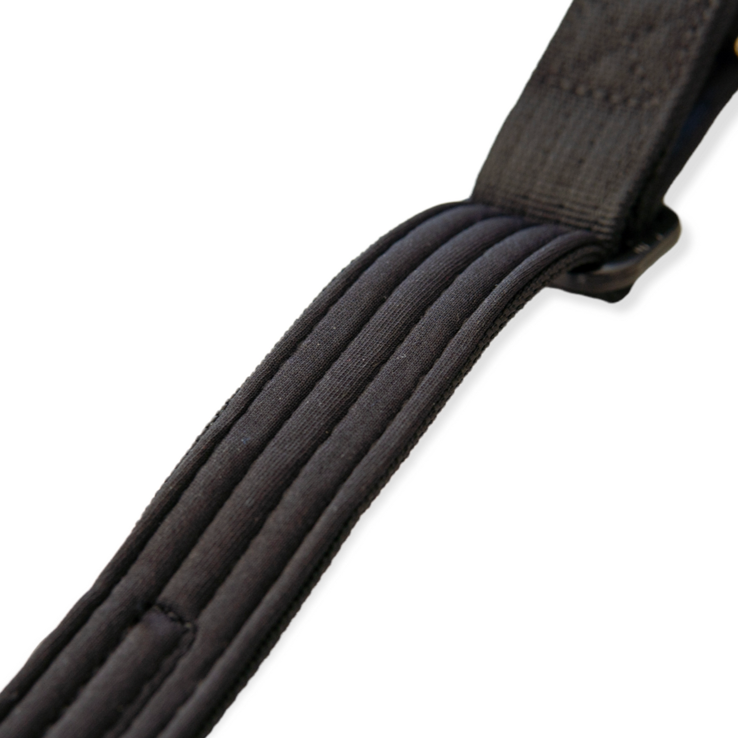 Everyday Dog Collar - Black Martingale 2.5cm/ 1"