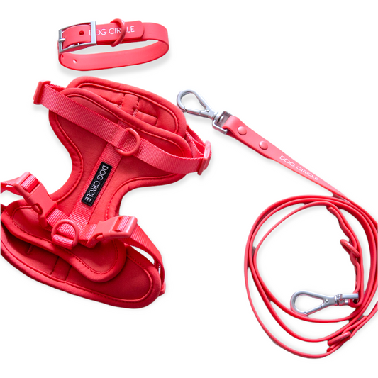 Dog Air Harness Set - Warm Red/ Pink