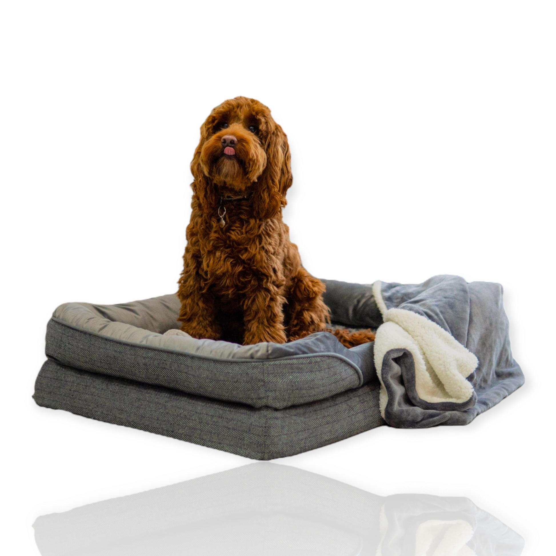 Purina orthopaedic 2024 dog bed